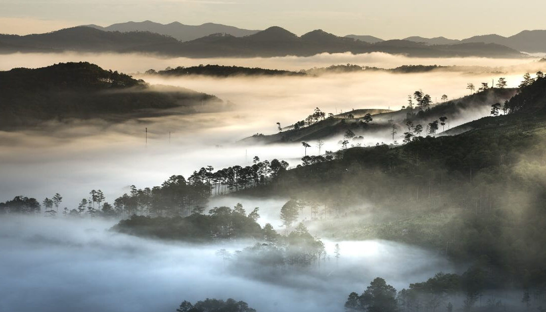 I tesori nascosti del Vietnam