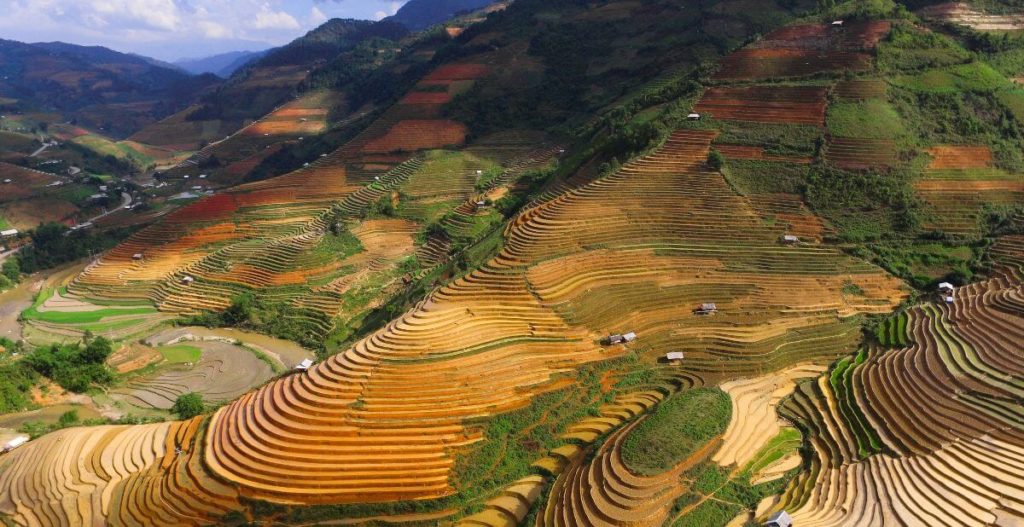 veduta dei campi coltivati dall'alto di sapa