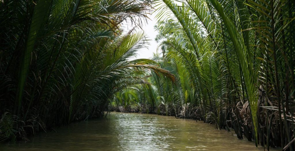 nell'affluente del mekong