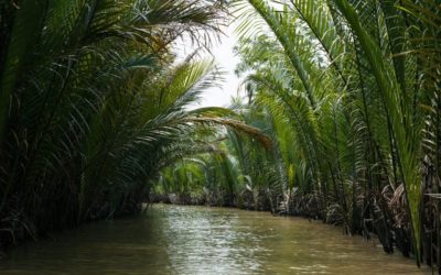 Il Percorso dal Tibet fino al Delta