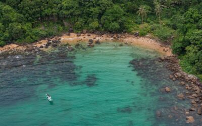 I parchi nazionali del Centro e del Sud del Vietnam