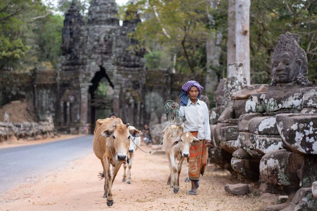 Cambogia e templi