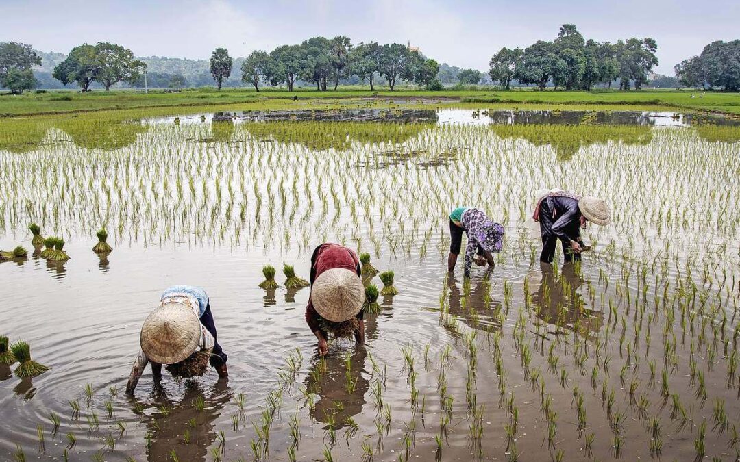 A proposito di Yangon